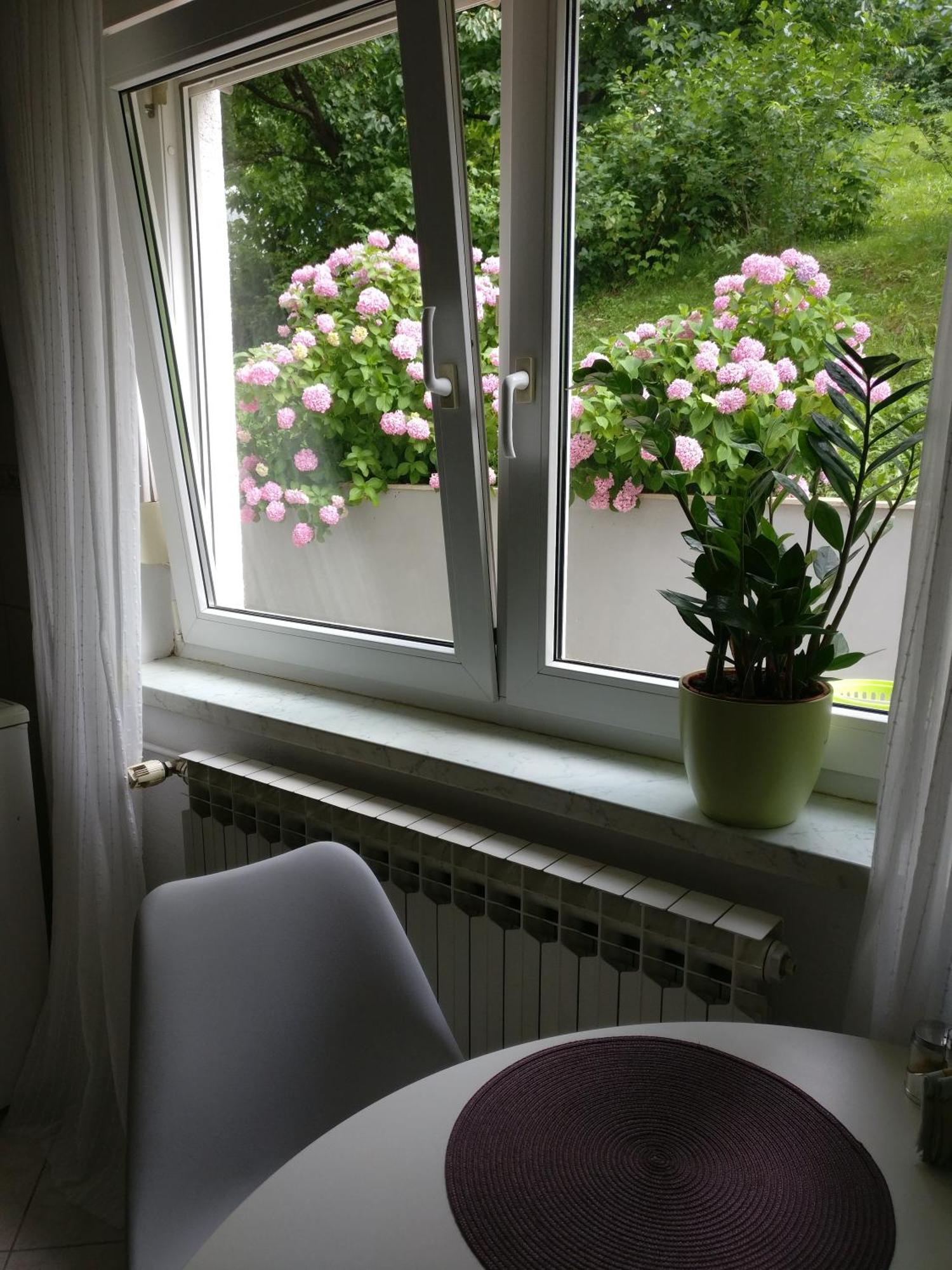 Apartman Malina Karlovac Buitenkant foto